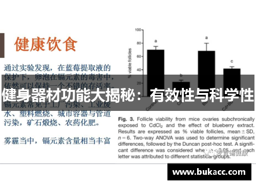 健身器材功能大揭秘：有效性与科学性